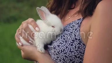 紧紧抱着一只小兔子，手里拿着一只小兔子，他